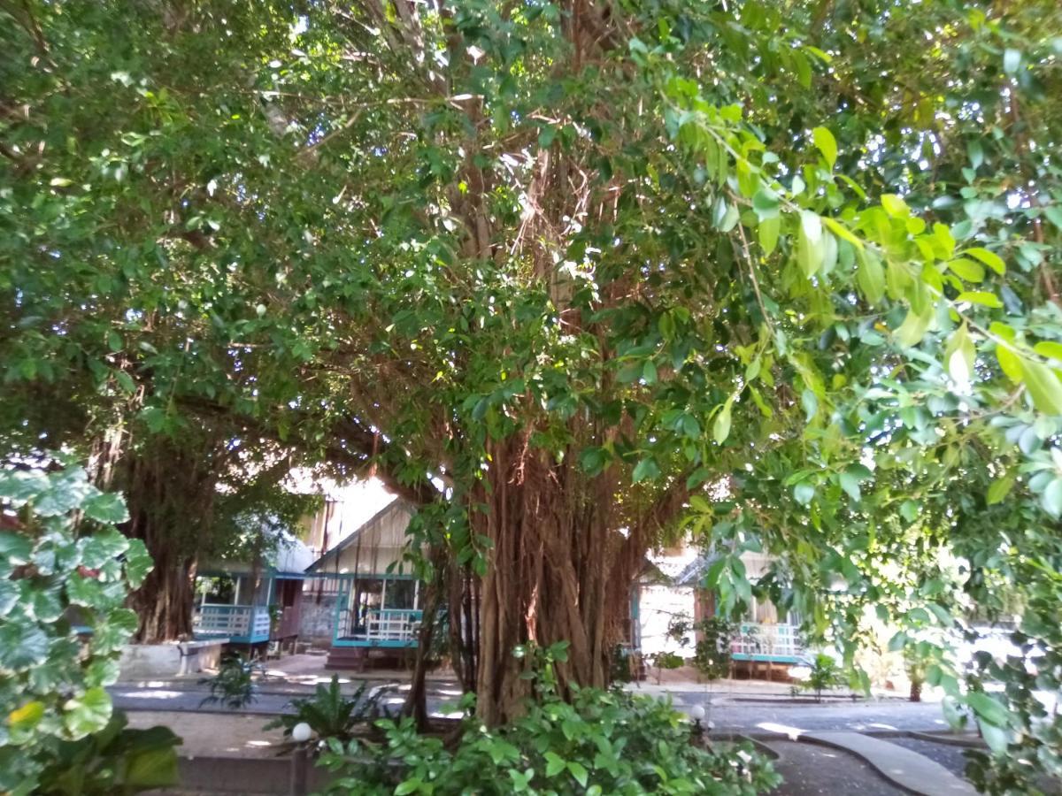 Blu' Beach Bungalows Lamai Beach  Buitenkant foto