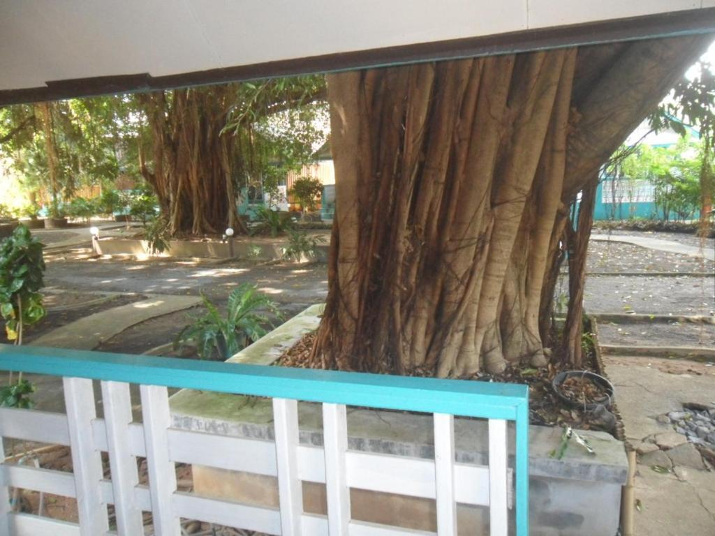 Blu' Beach Bungalows Lamai Beach  Buitenkant foto
