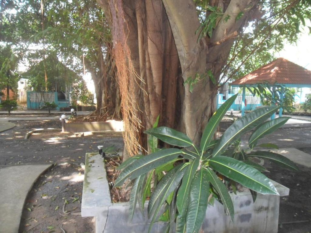 Blu' Beach Bungalows Lamai Beach  Buitenkant foto