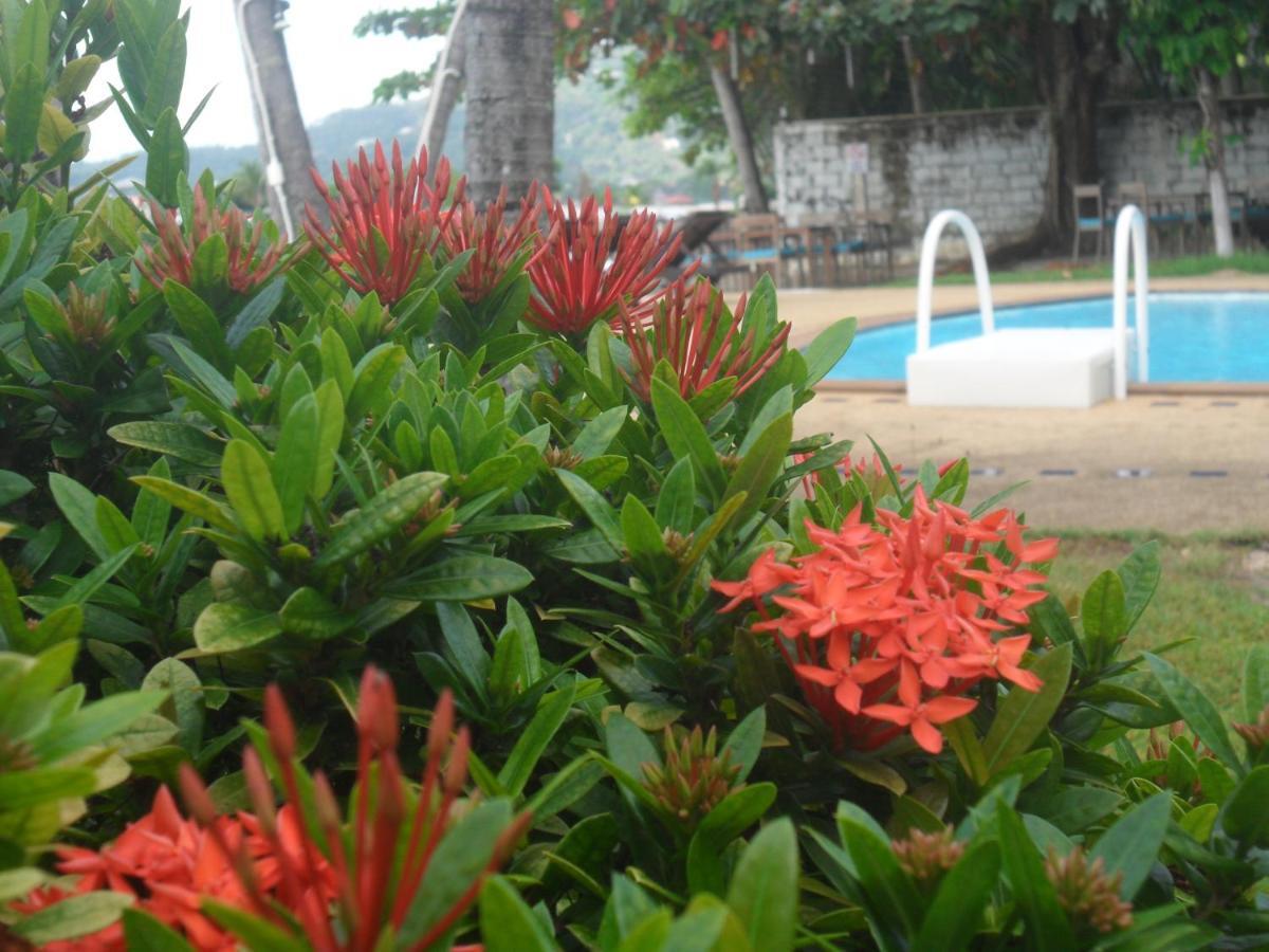 Blu' Beach Bungalows Lamai Beach  Buitenkant foto